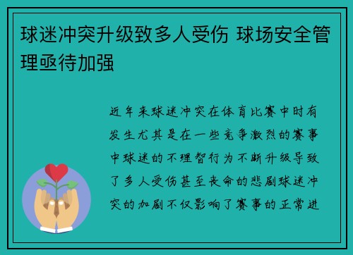 球迷冲突升级致多人受伤 球场安全管理亟待加强