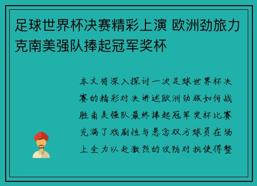 足球世界杯决赛精彩上演 欧洲劲旅力克南美强队捧起冠军奖杯