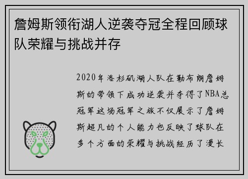 詹姆斯领衔湖人逆袭夺冠全程回顾球队荣耀与挑战并存