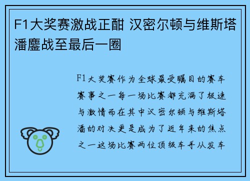 F1大奖赛激战正酣 汉密尔顿与维斯塔潘鏖战至最后一圈